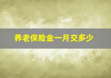 养老保险金一月交多少