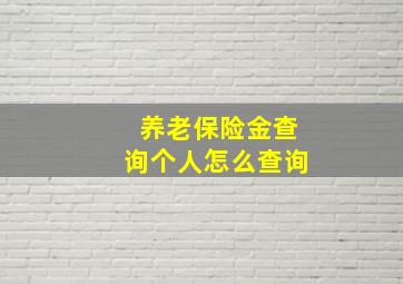 养老保险金查询个人怎么查询