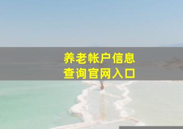 养老帐户信息查询官网入口