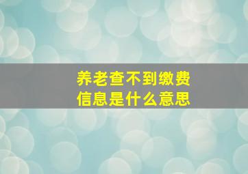 养老查不到缴费信息是什么意思