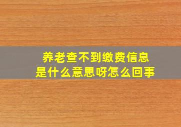 养老查不到缴费信息是什么意思呀怎么回事