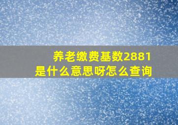 养老缴费基数2881是什么意思呀怎么查询