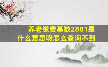 养老缴费基数2881是什么意思呀怎么查询不到