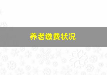 养老缴费状况