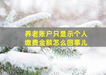 养老账户只显示个人缴费金额怎么回事儿