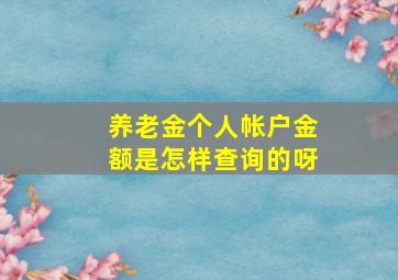 养老金个人帐户金额是怎样查询的呀