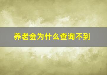 养老金为什么查询不到