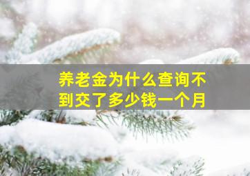 养老金为什么查询不到交了多少钱一个月