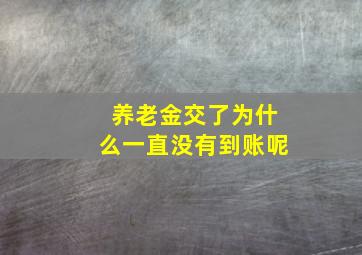 养老金交了为什么一直没有到账呢