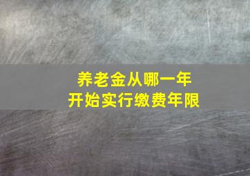 养老金从哪一年开始实行缴费年限