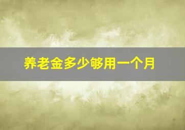 养老金多少够用一个月