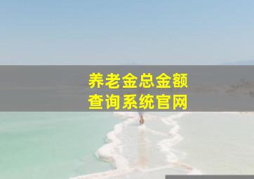 养老金总金额查询系统官网