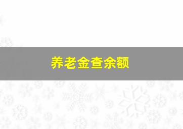 养老金查余额