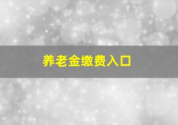 养老金缴费入口