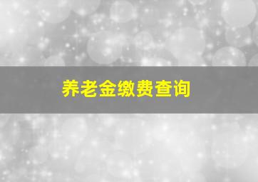 养老金缴费查询