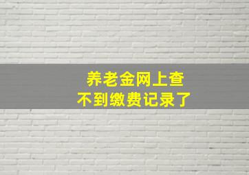 养老金网上查不到缴费记录了