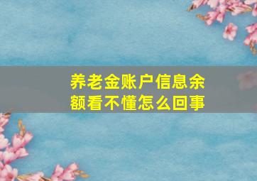 养老金账户信息余额看不懂怎么回事