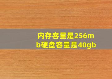 内存容量是256mb硬盘容量是40gb