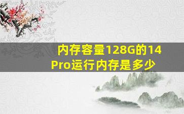 内存容量128G的14 Pro运行内存是多少