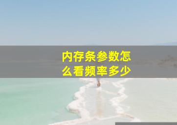 内存条参数怎么看频率多少