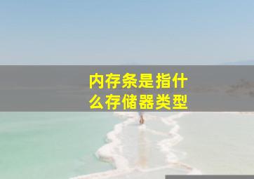 内存条是指什么存储器类型