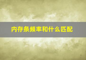 内存条频率和什么匹配