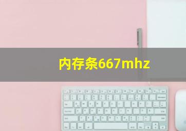 内存条667mhz