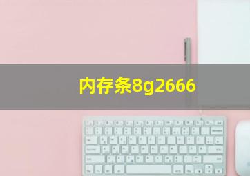 内存条8g2666