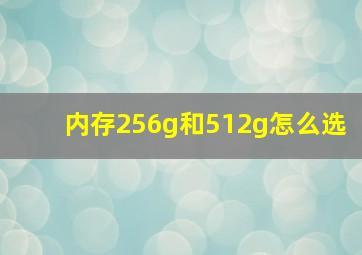 内存256g和512g怎么选