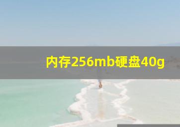 内存256mb硬盘40g