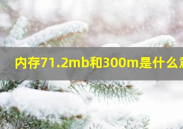 内存71.2mb和300m是什么意思