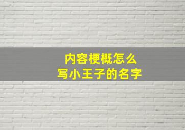 内容梗概怎么写小王子的名字