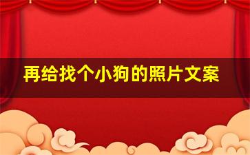 再给找个小狗的照片文案