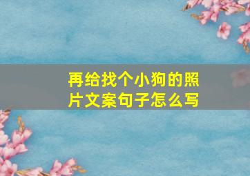 再给找个小狗的照片文案句子怎么写