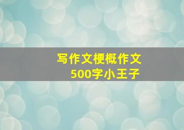 写作文梗概作文500字小王子