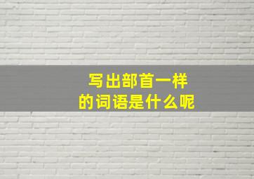 写出部首一样的词语是什么呢