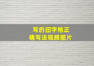 写的田字格正确写法视频图片