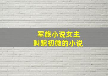 军旅小说女主叫黎初微的小说