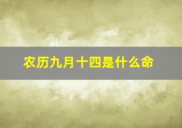 农历九月十四是什么命