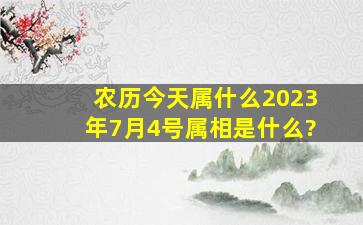 农历今天属什么2023年7月4号属相是什么?