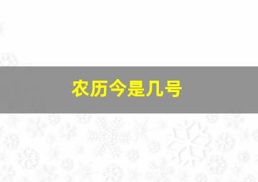 农历今是几号