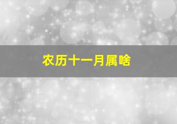 农历十一月属啥