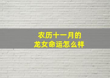 农历十一月的龙女命运怎么样