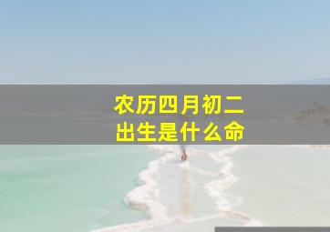 农历四月初二出生是什么命