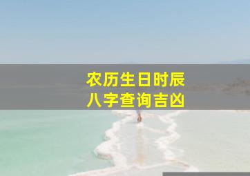 农历生日时辰八字查询吉凶