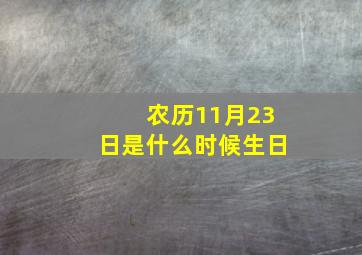 农历11月23日是什么时候生日