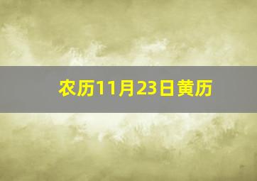 农历11月23日黄历