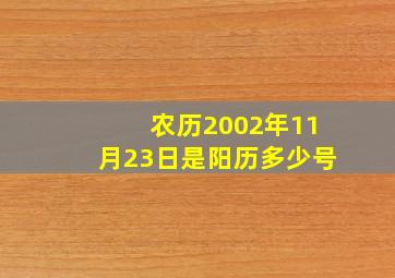 农历2002年11月23日是阳历多少号