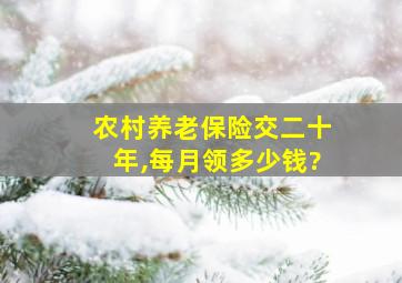 农村养老保险交二十年,每月领多少钱?