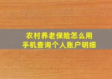 农村养老保险怎么用手机查询个人账户明细